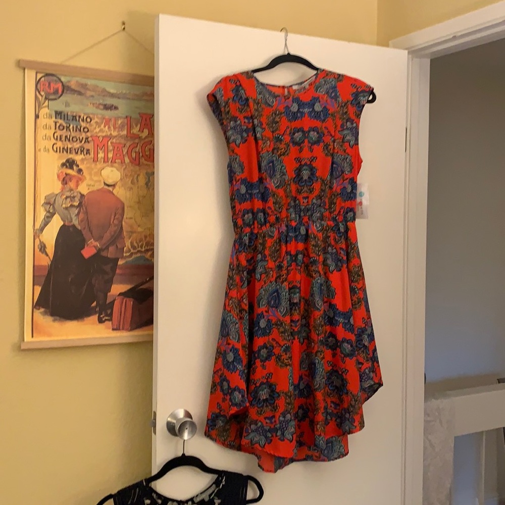 Collective concepts dress. New with tags